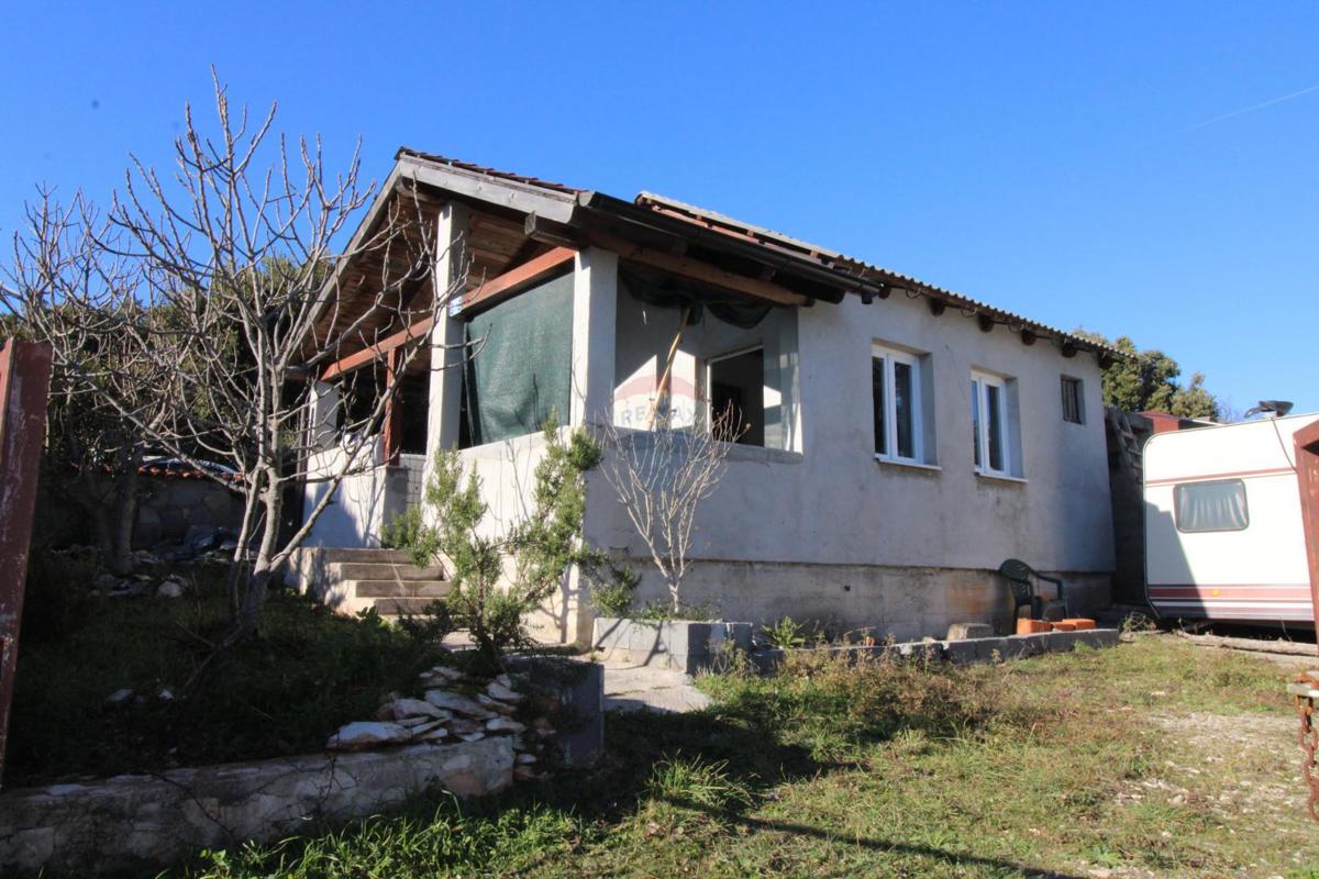 PAVIĆINI