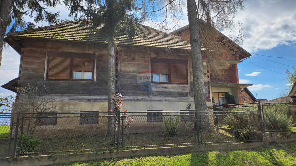 REPUŠNICA
