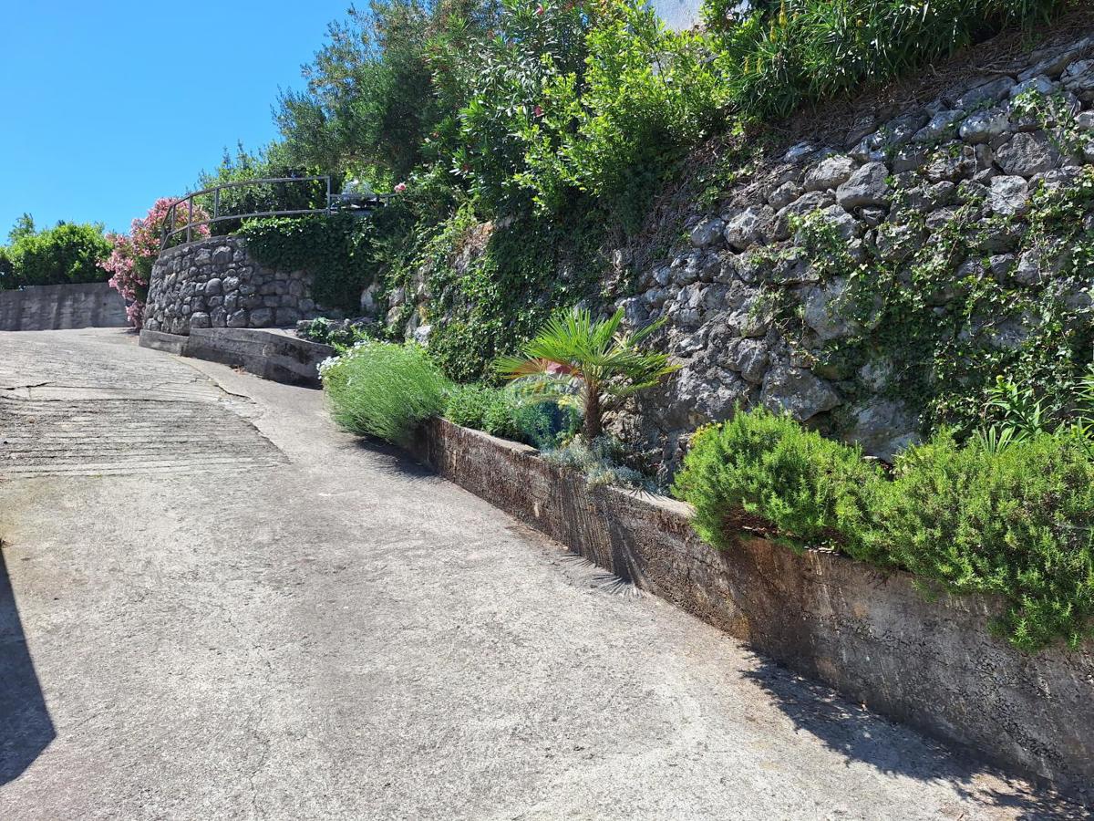 image 25