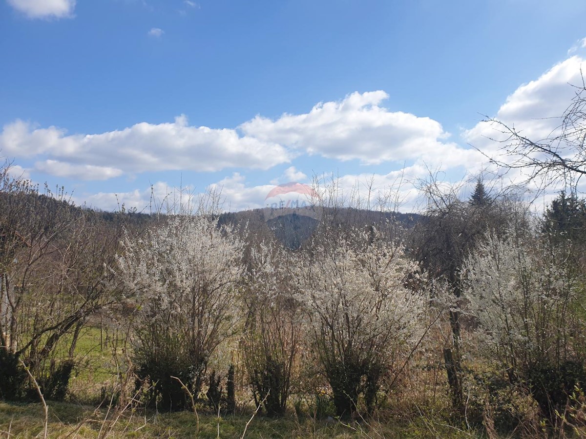 LUKOVDOL