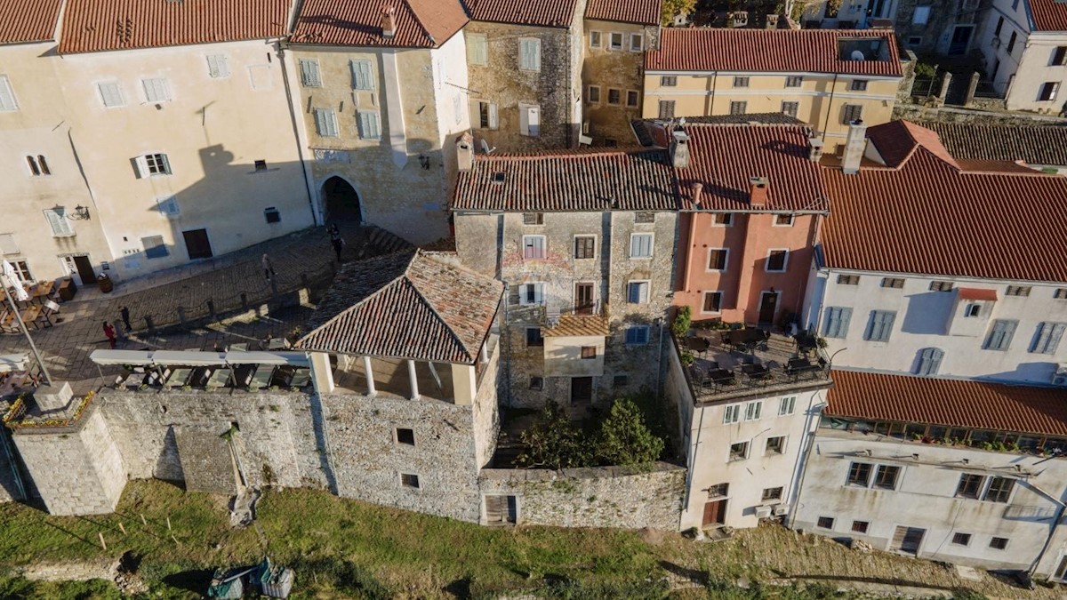 MOTOVUN