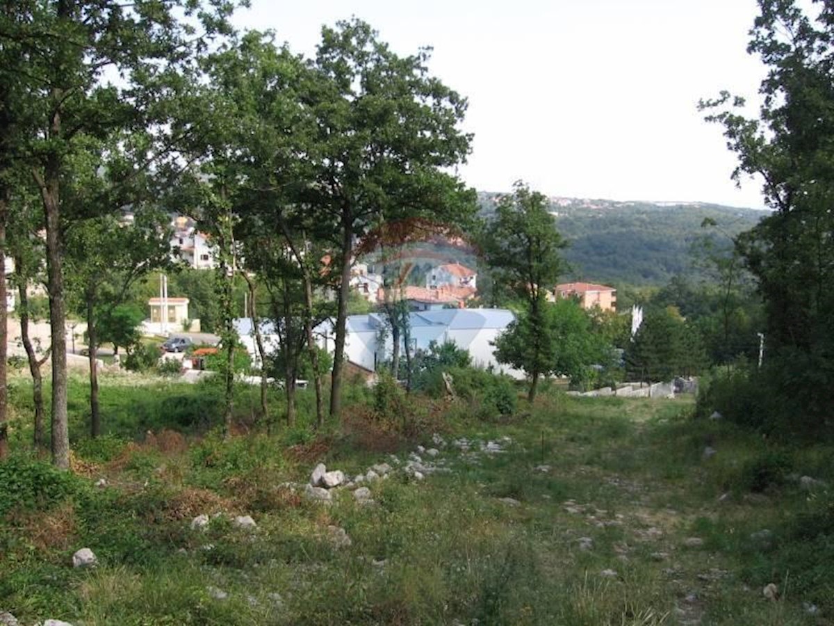 BRNČIĆI