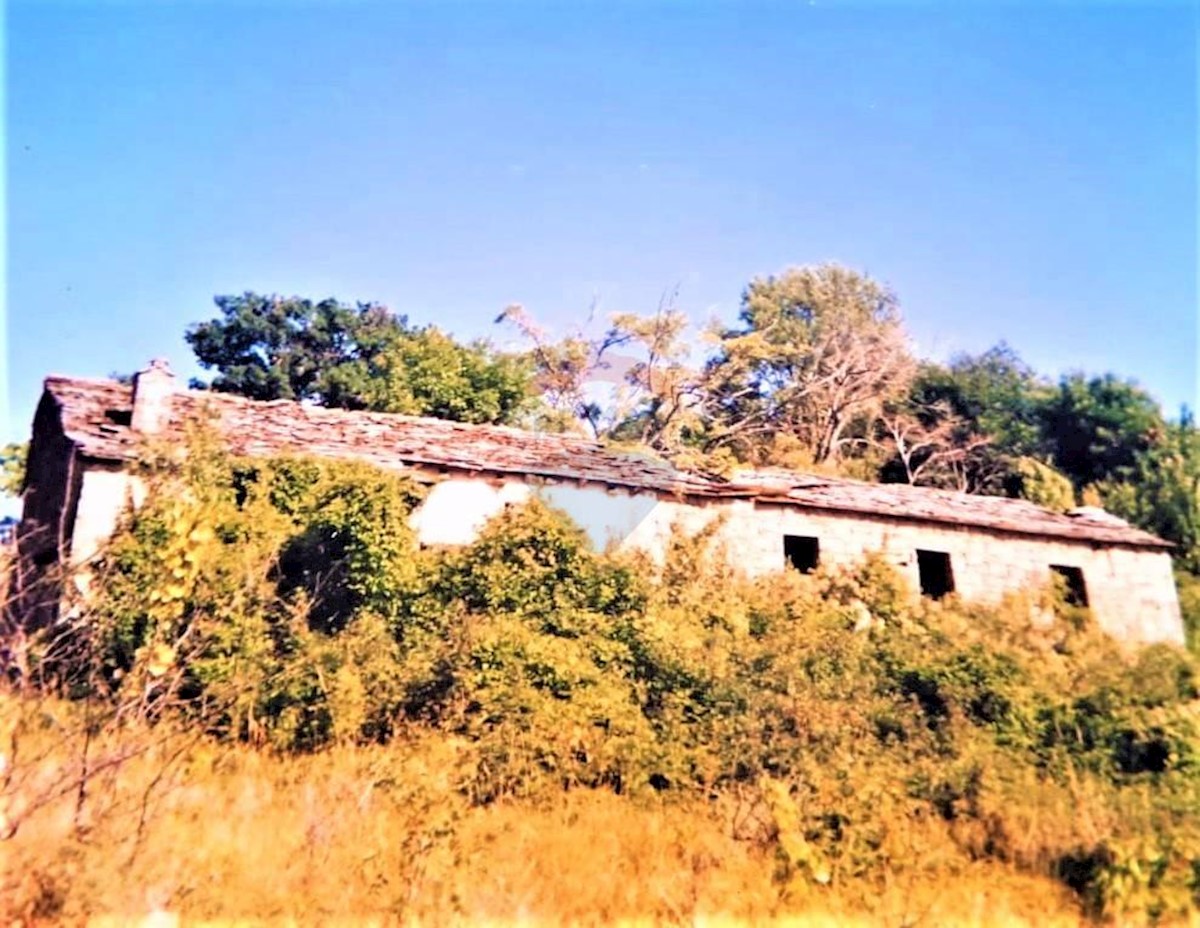 VIŽINTINI VRHI