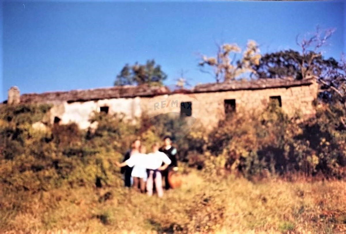 VIŽINTINI VRHI