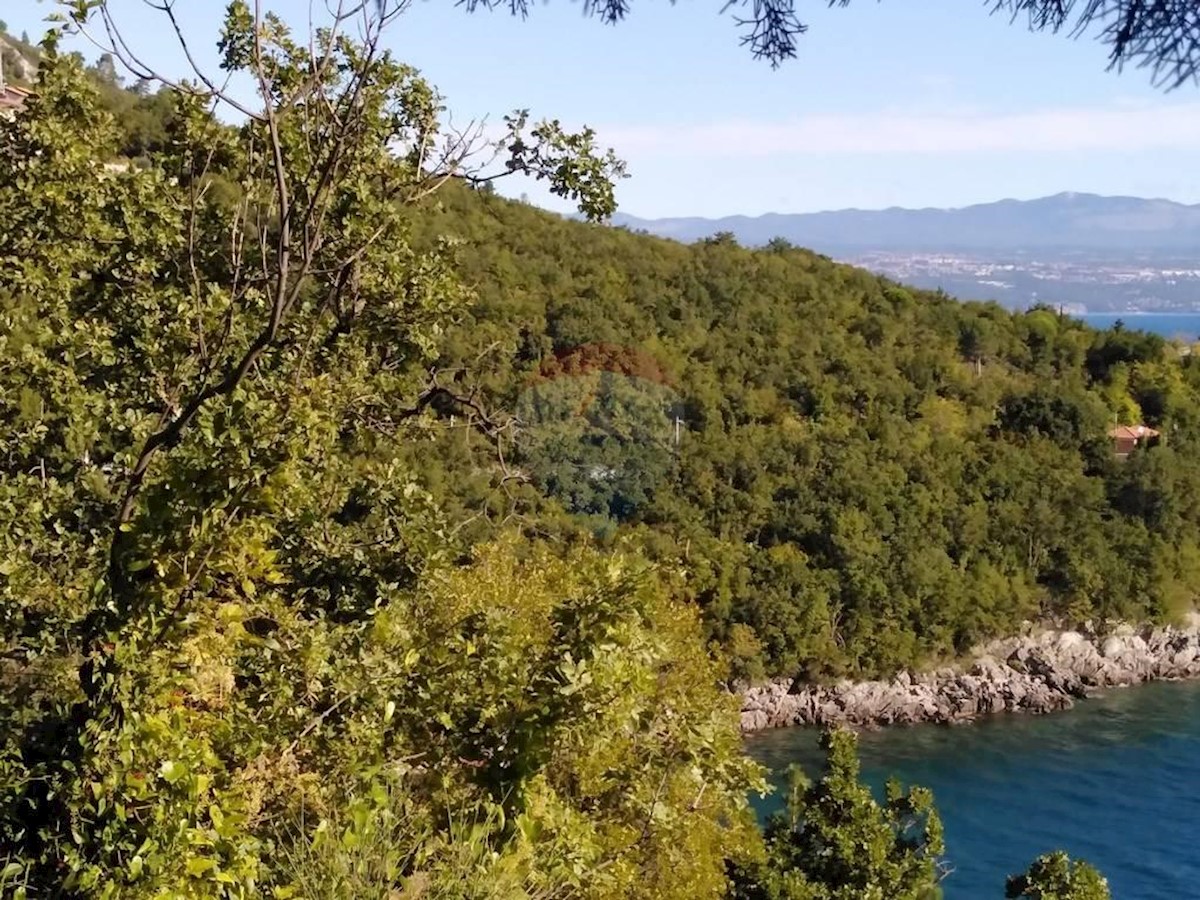 MEDVEJA
