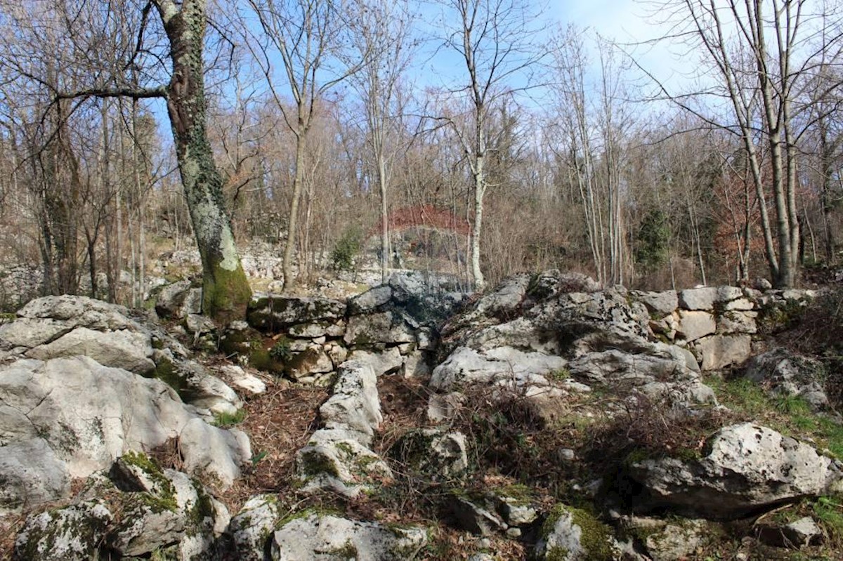 RUKAVAC