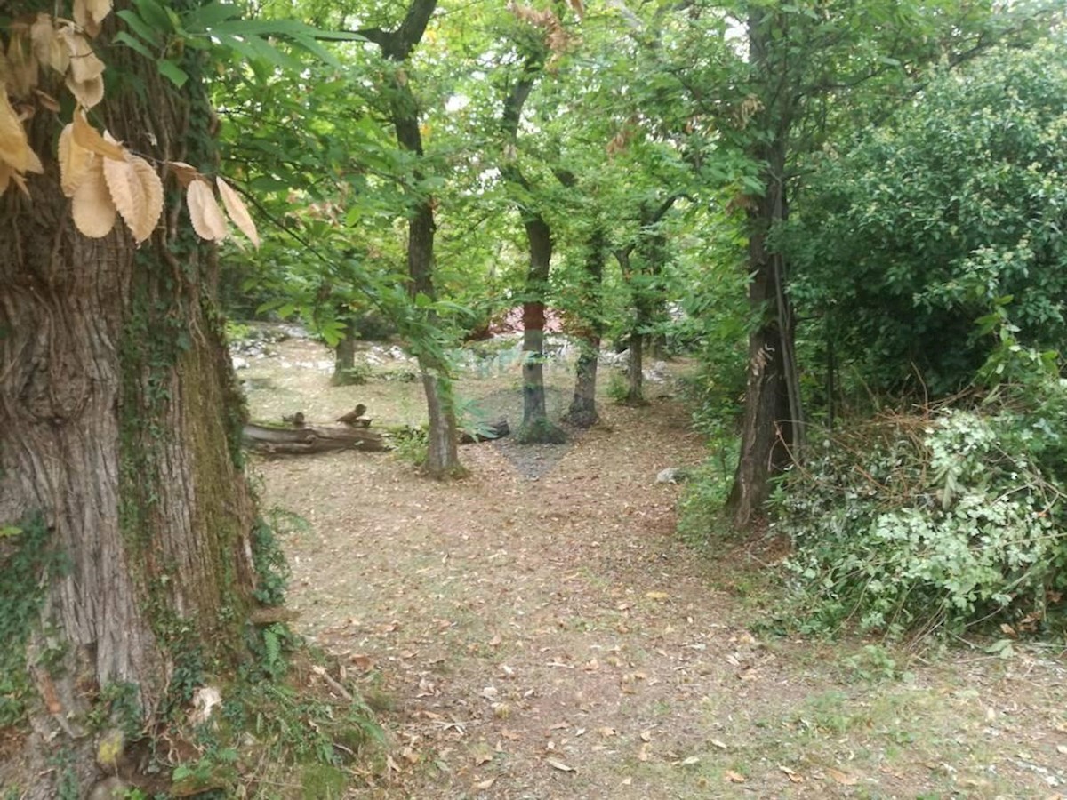 OPRIČ