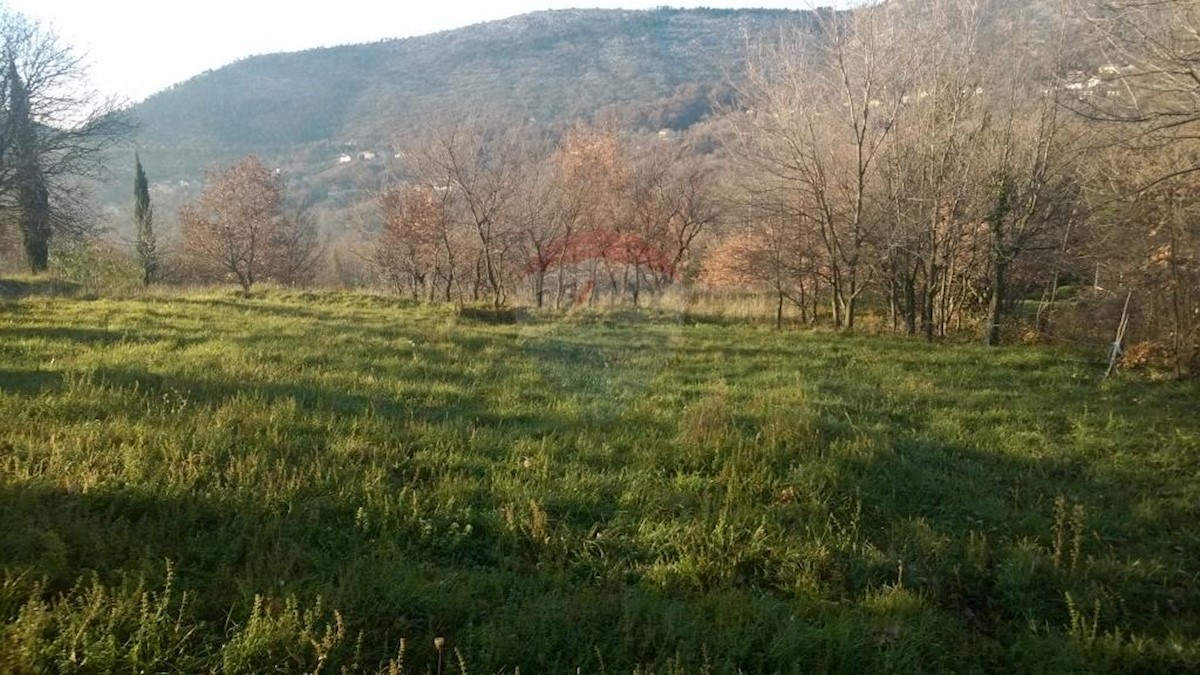 BRIBIR