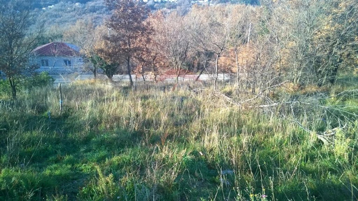 BRIBIR