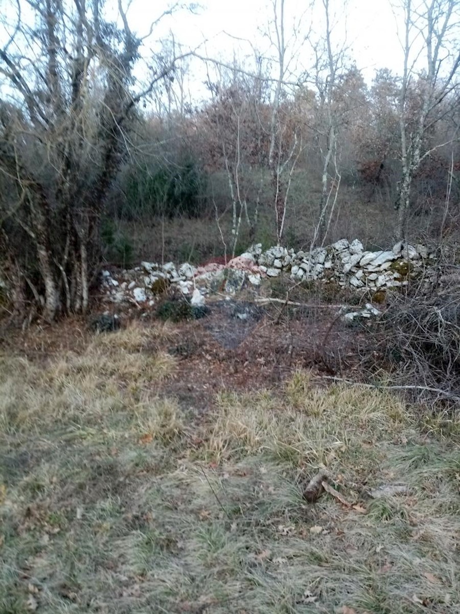 KRCULI