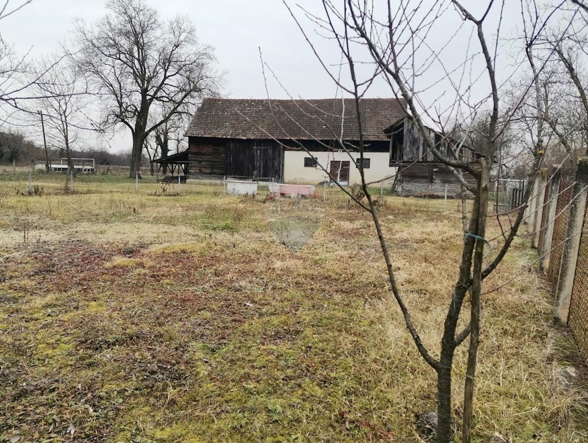 OBOROVO