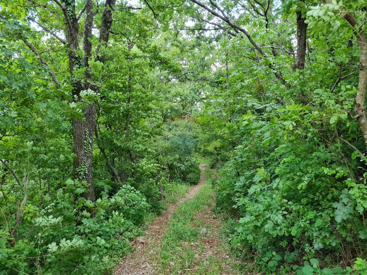 BRSEČ