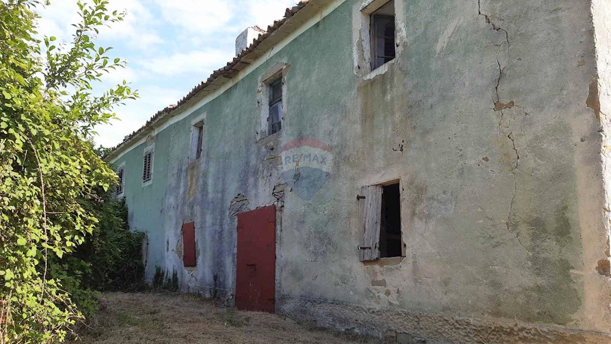 DRAGUĆ