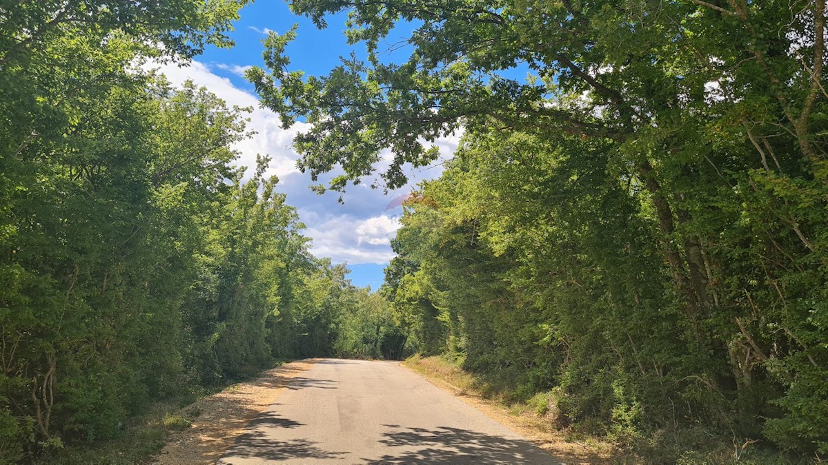 MARASI