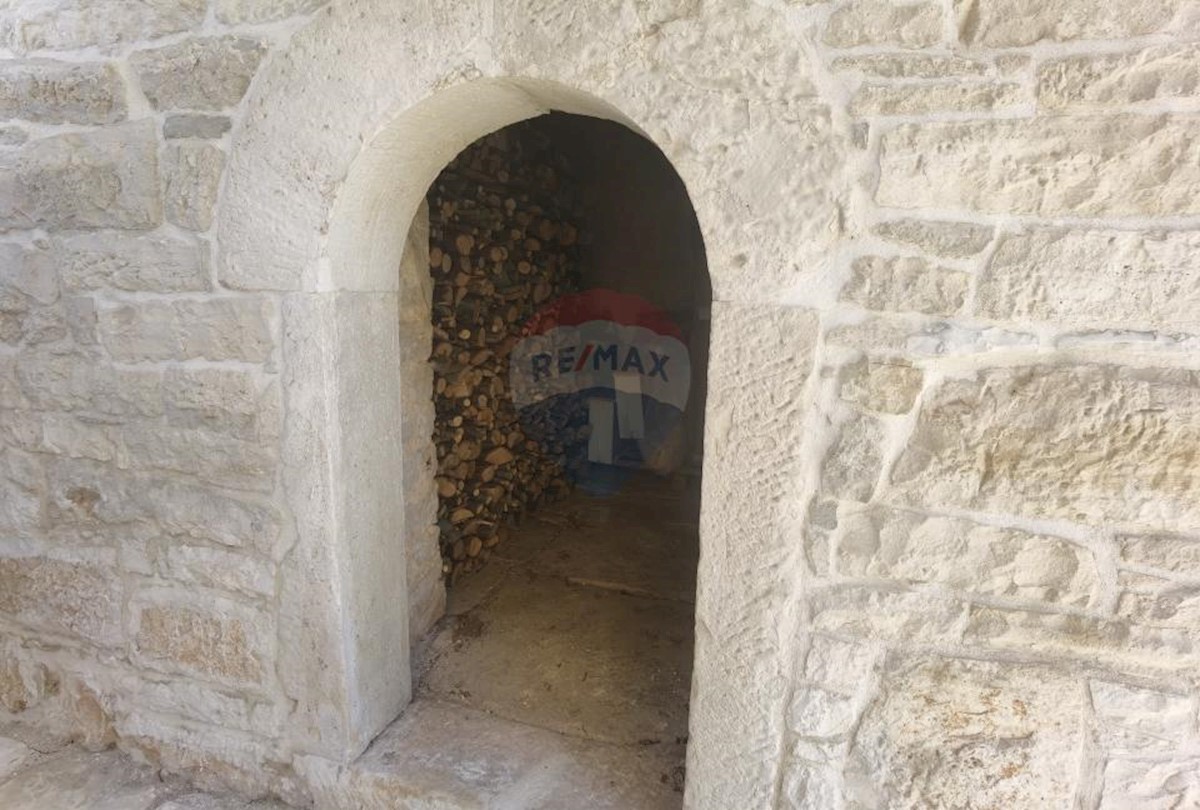 REŽANCI