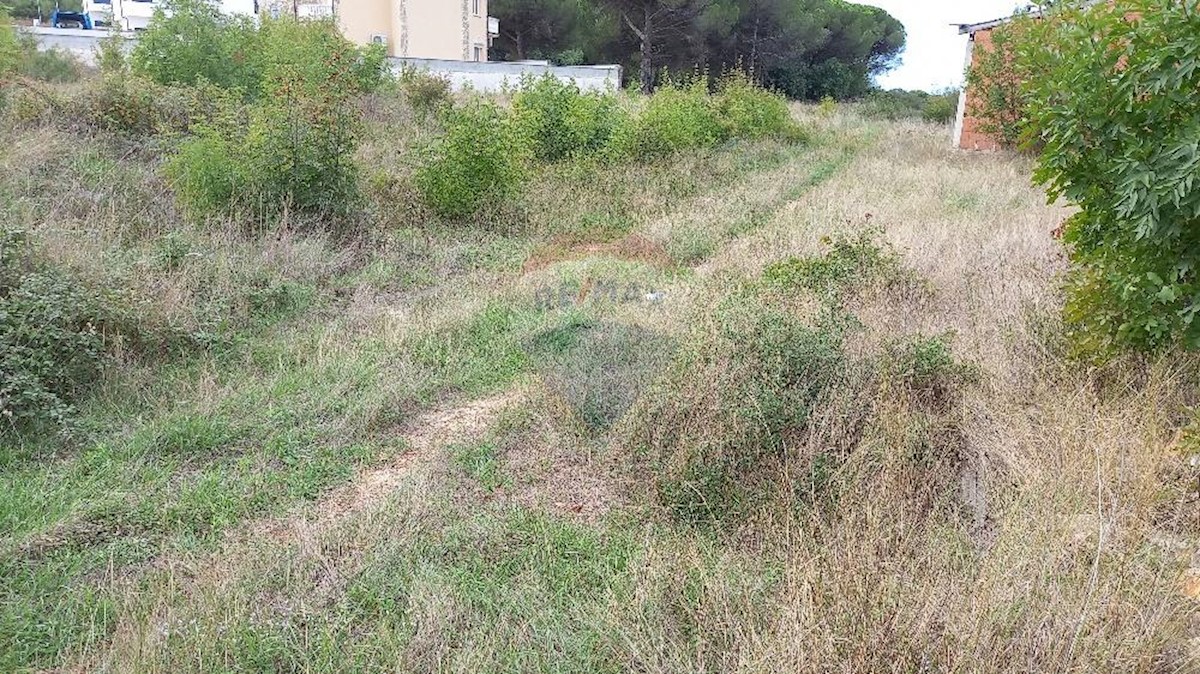 PULA