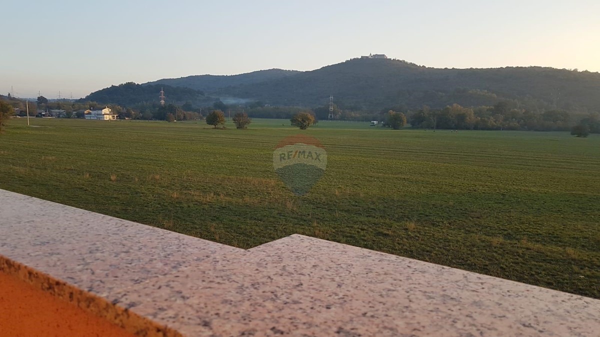 DRAŽICE