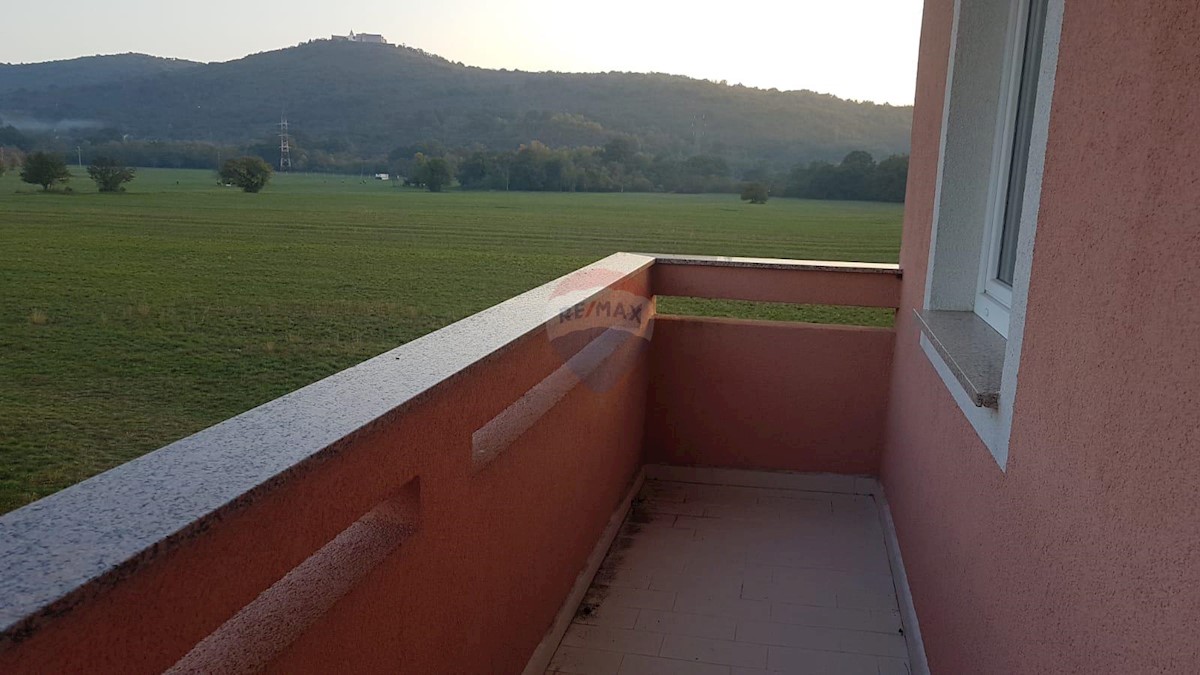 DRAŽICE