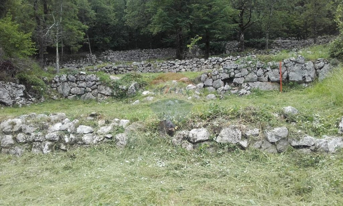 BREGI