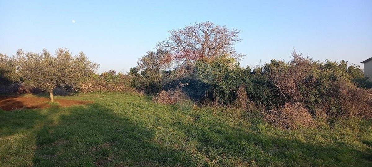 FAŽANA