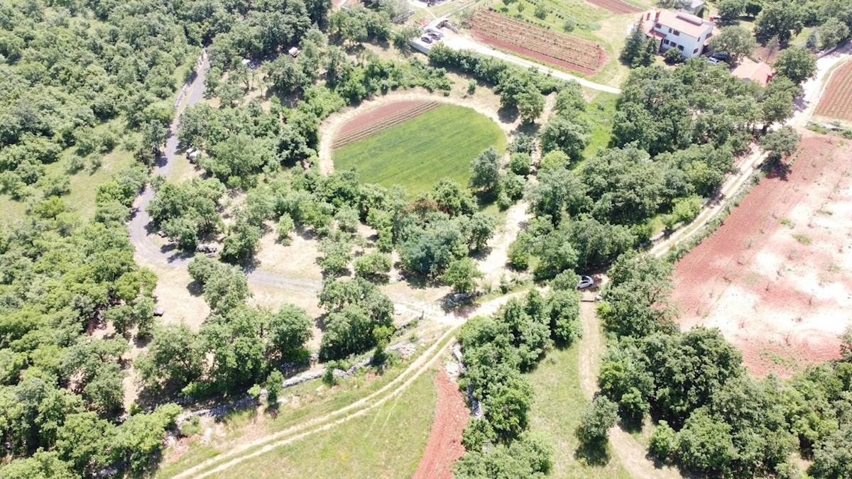 DIVŠIĆI