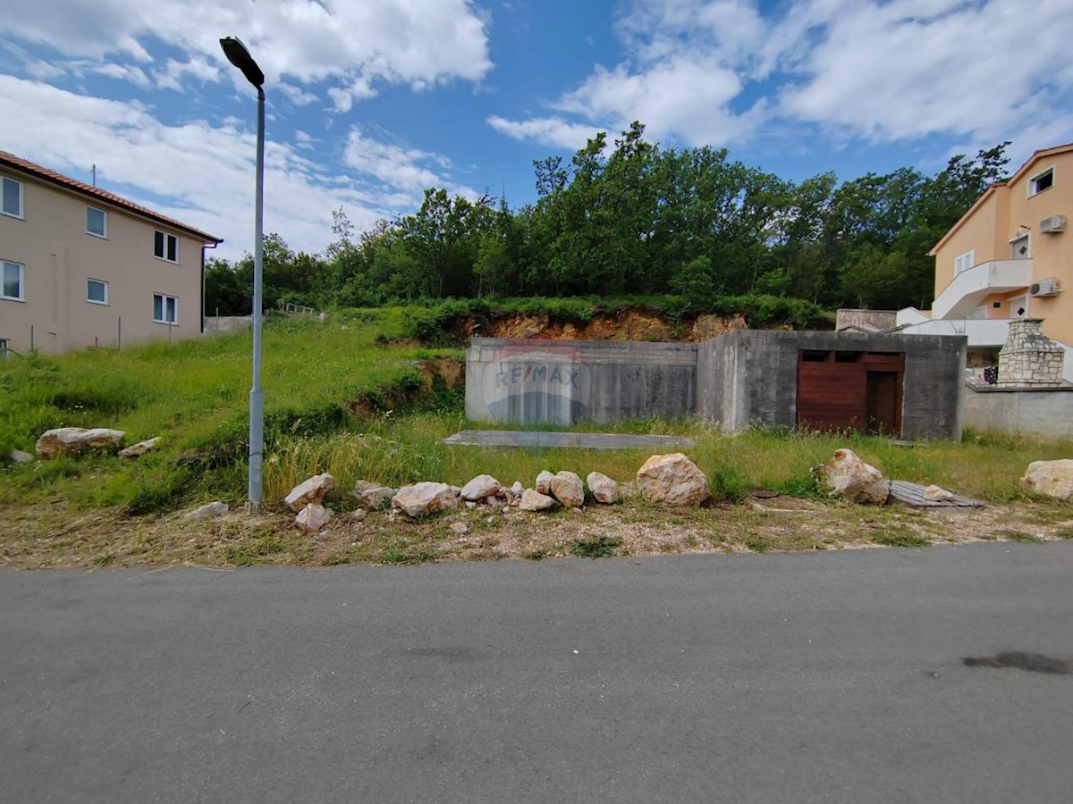 ČIŽIĆI