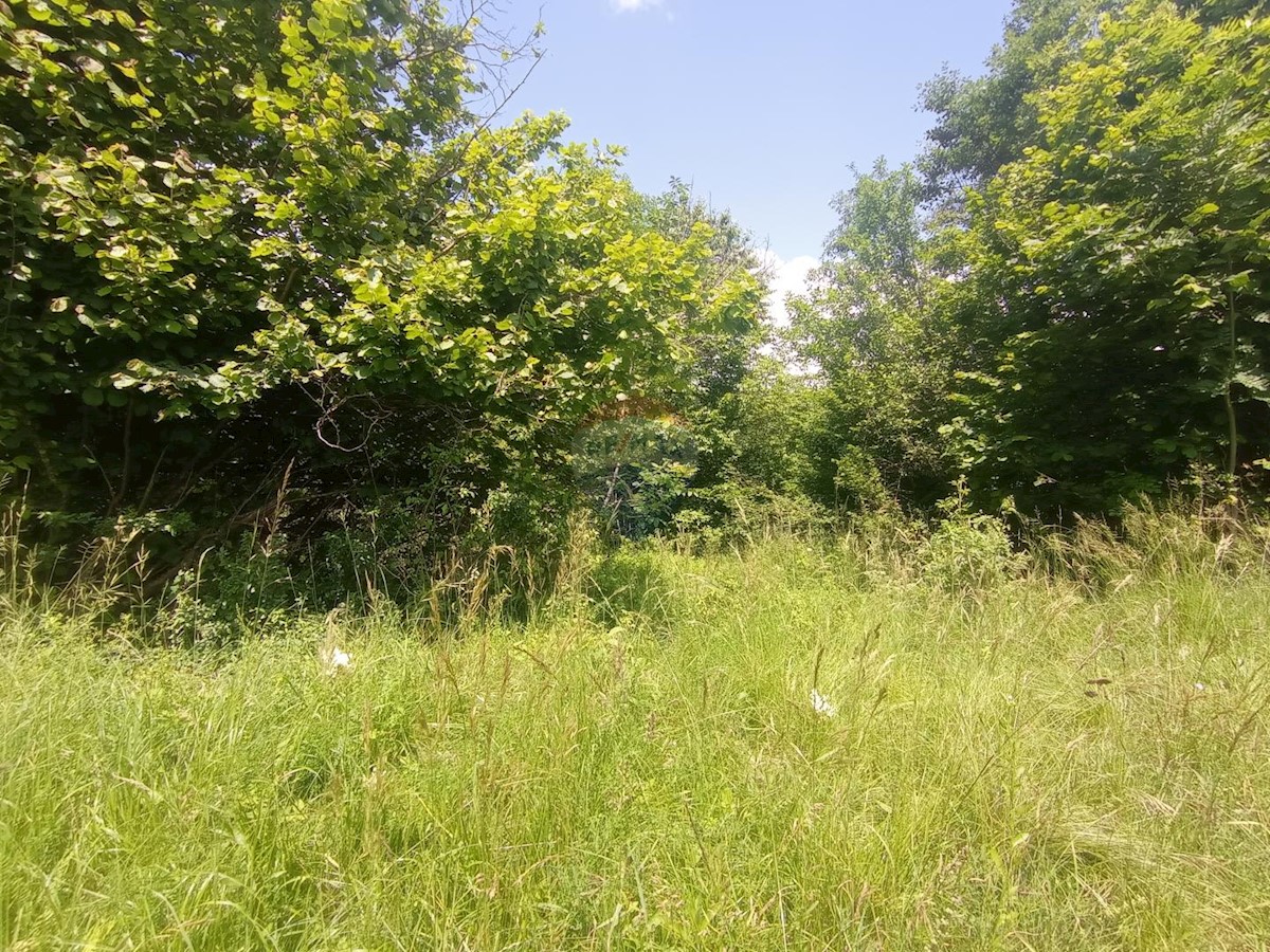 LUKOVDOL