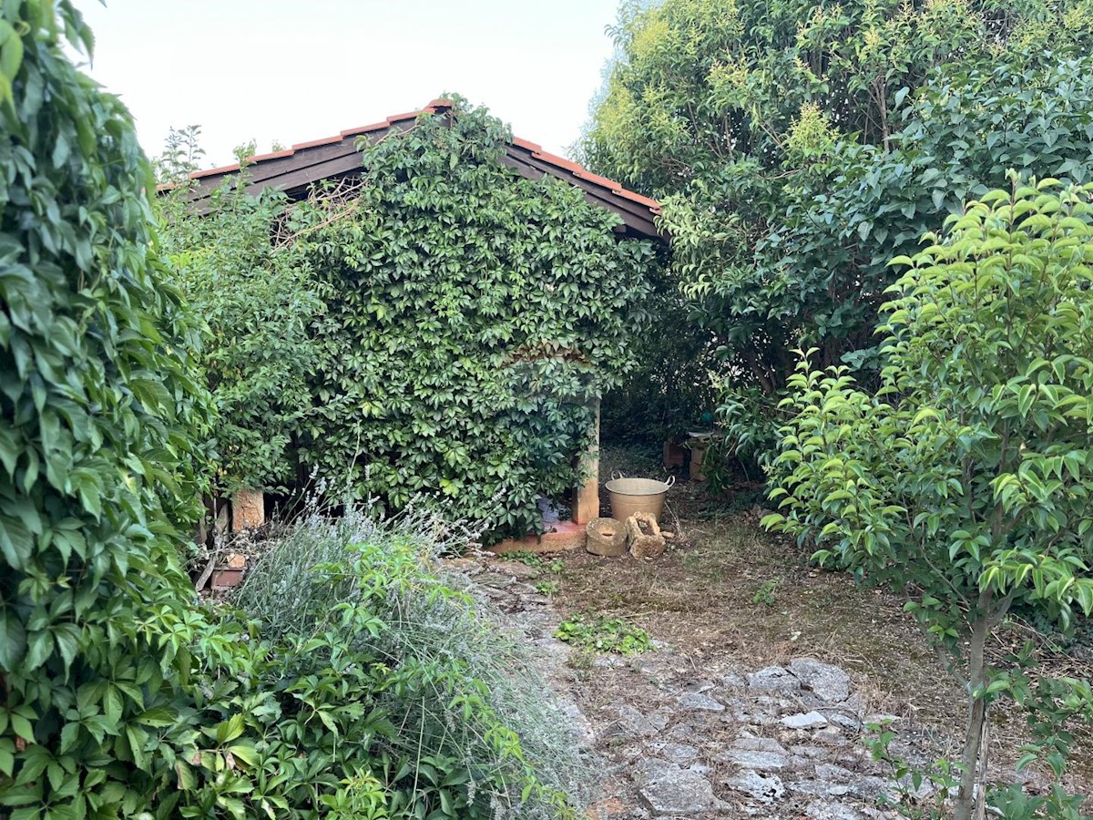 VODNJAN