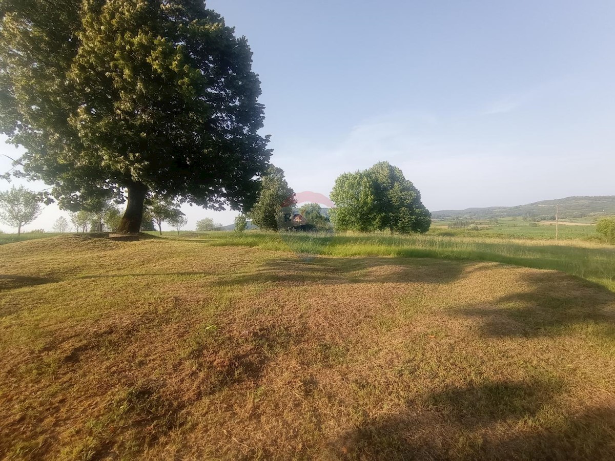 CEROVNIK