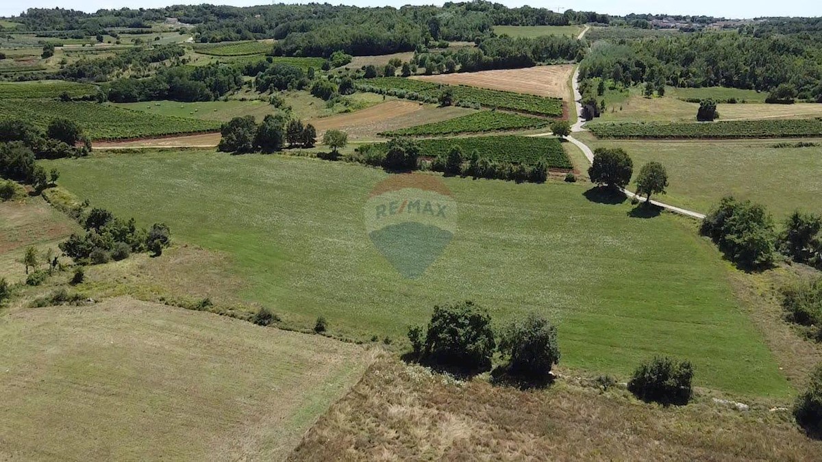 VIŽINADA