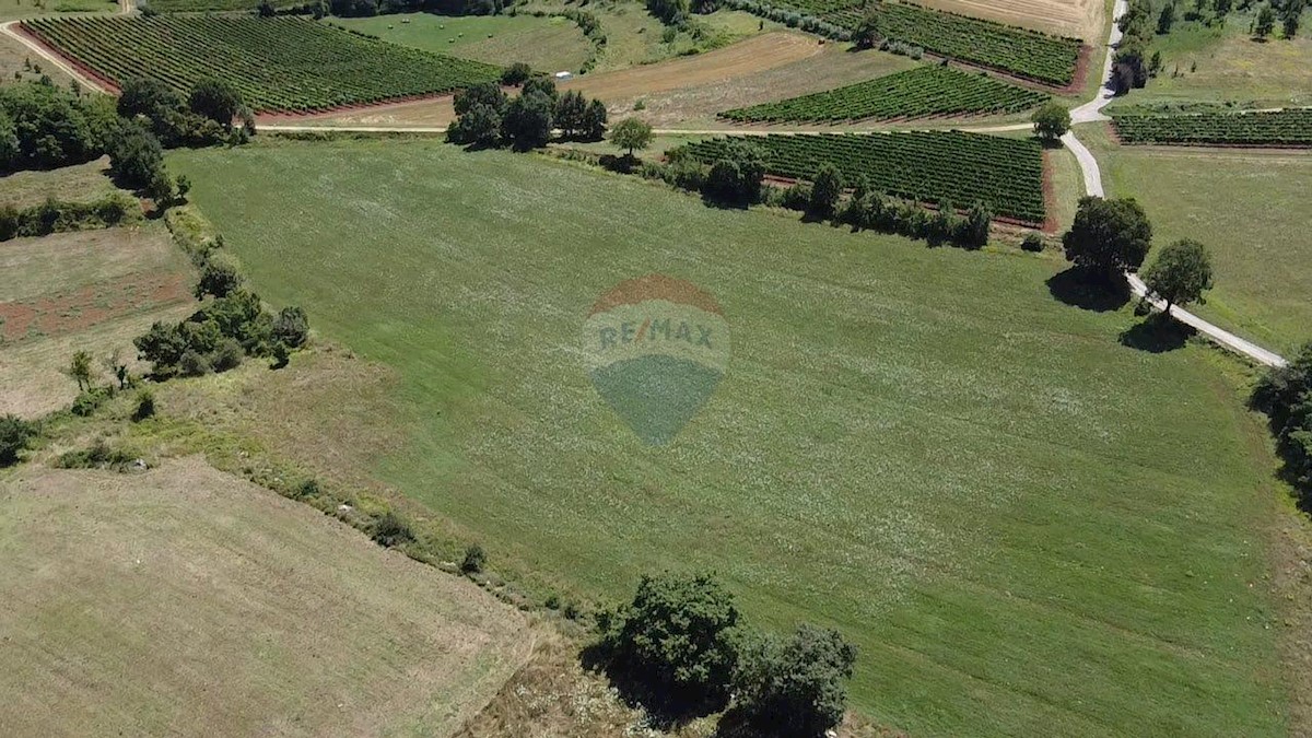 VIŽINADA