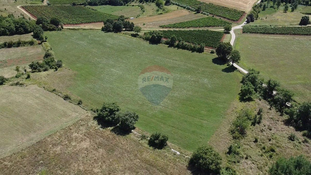 VIŽINADA