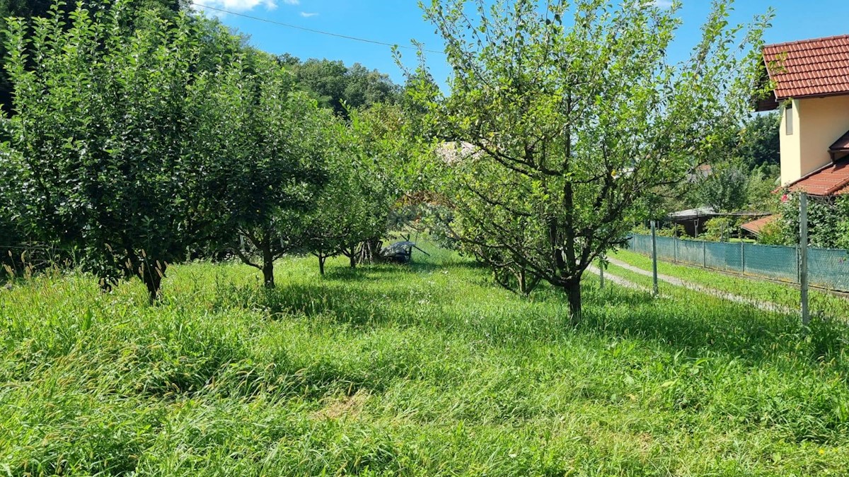 DONJA STUBICA