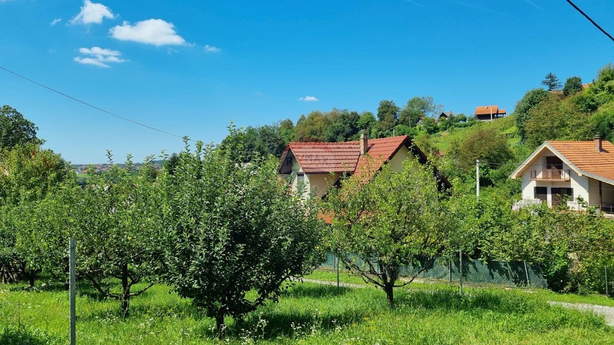 DONJA STUBICA