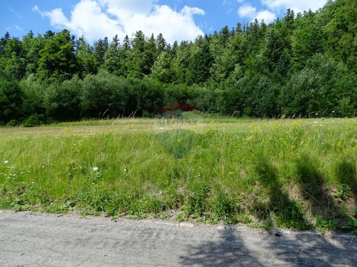 FUŽINE