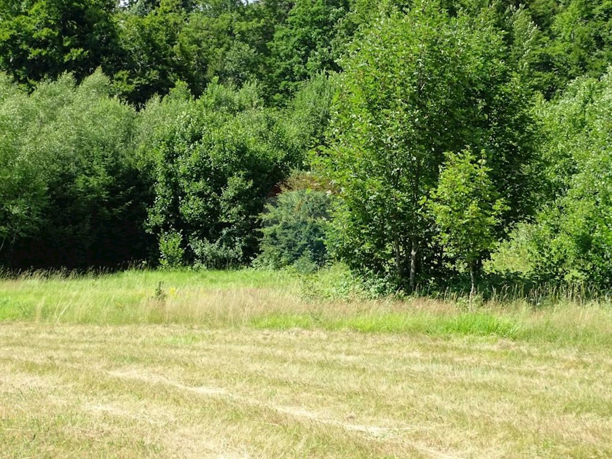 FUŽINE