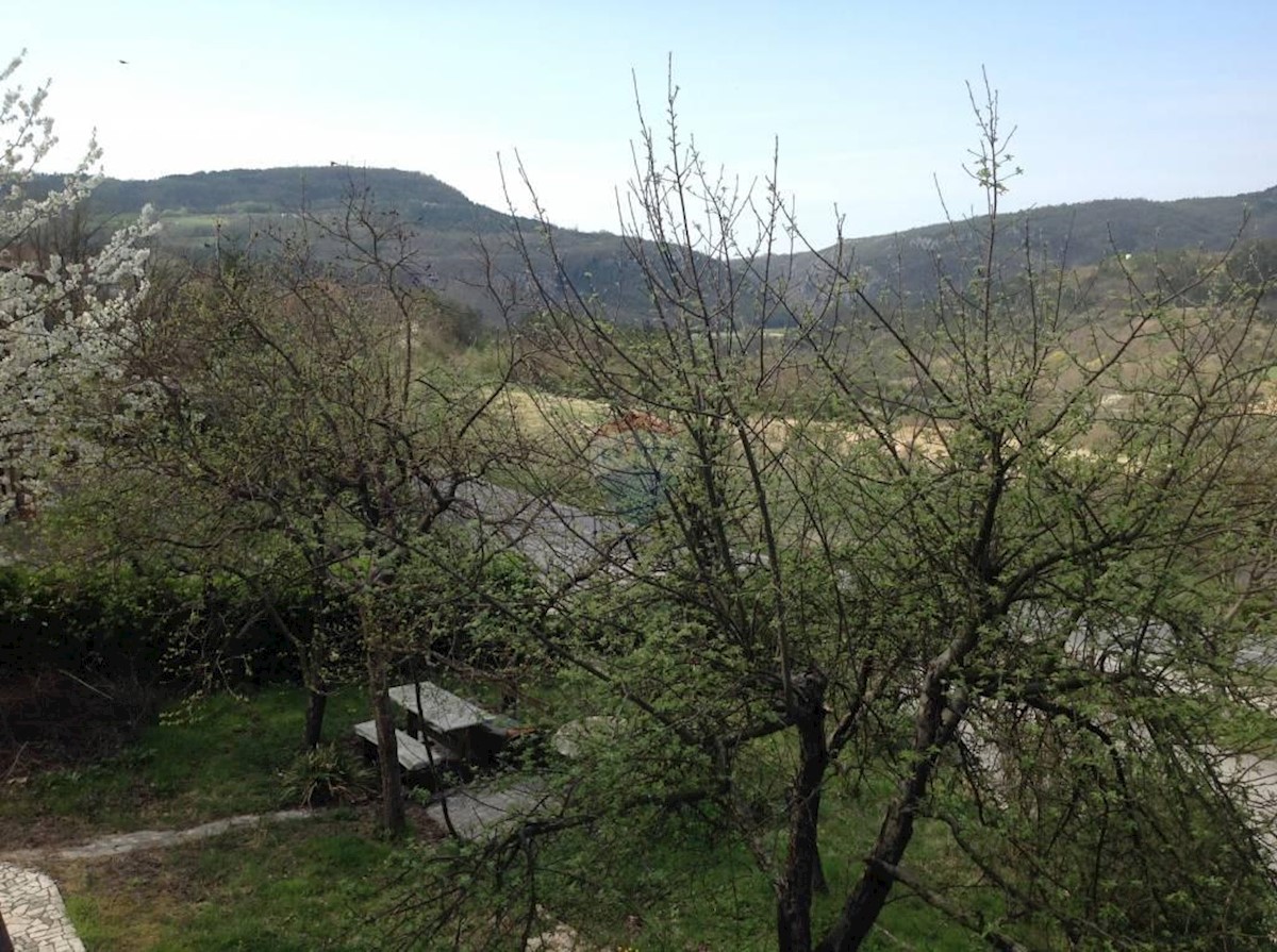 BUZET
