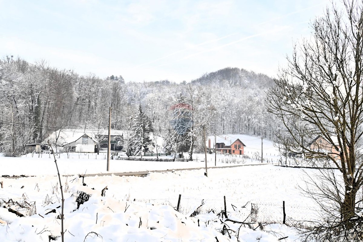 GORNJA PUŠĆA