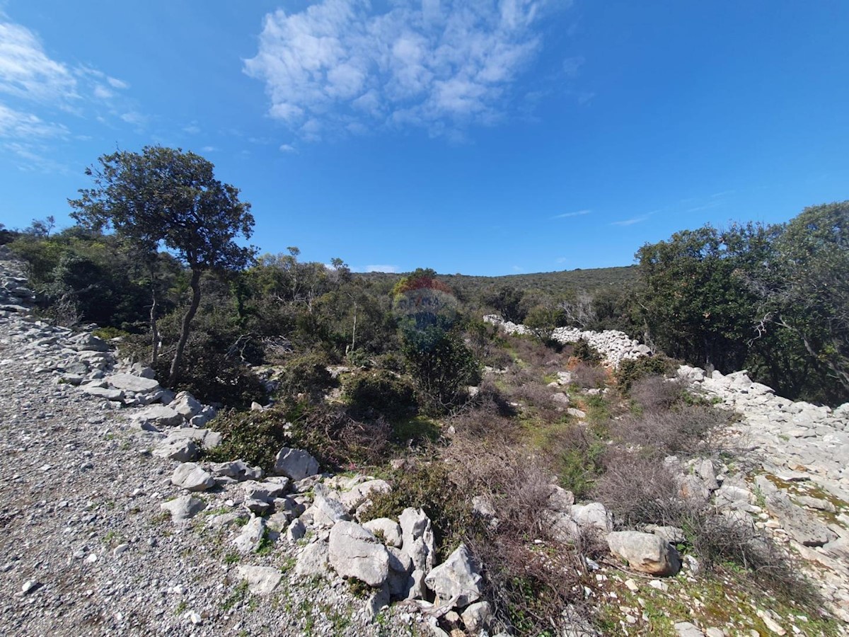 VELI LOŠINJ