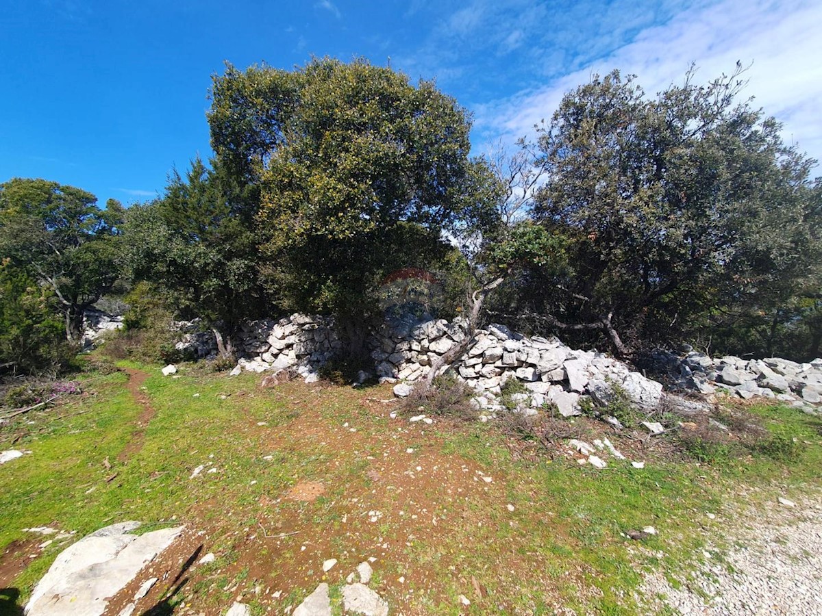 VELI LOŠINJ
