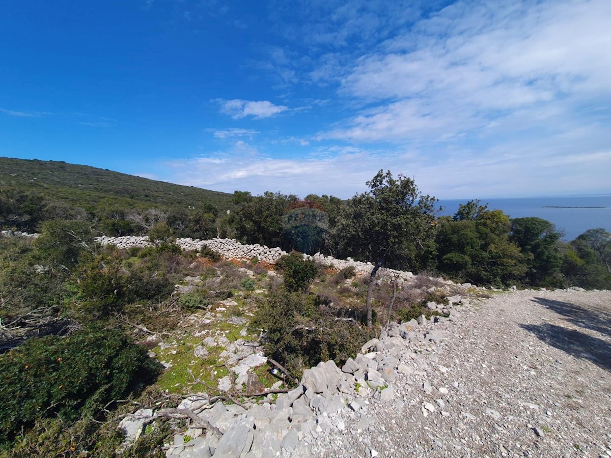 VELI LOŠINJ