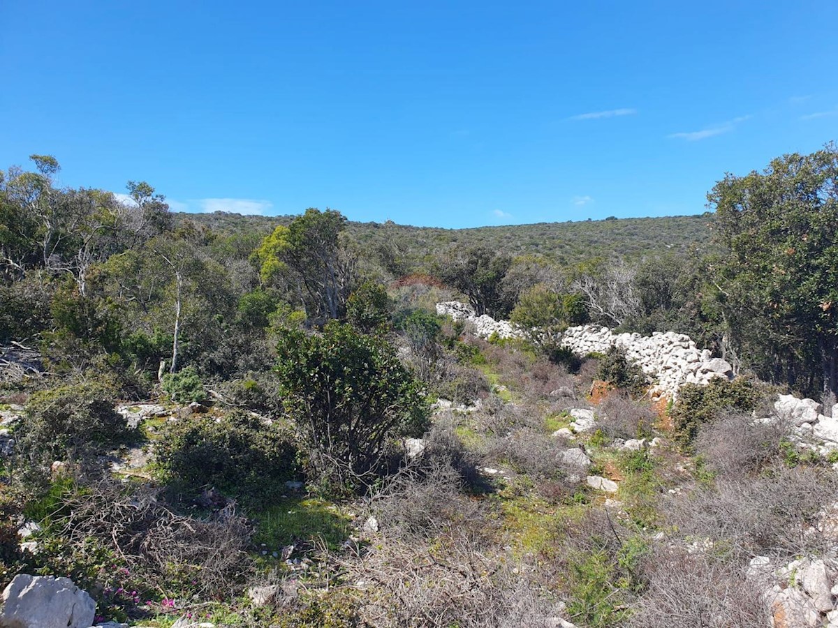 VELI LOŠINJ