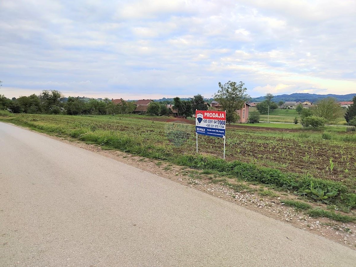 BELAJ