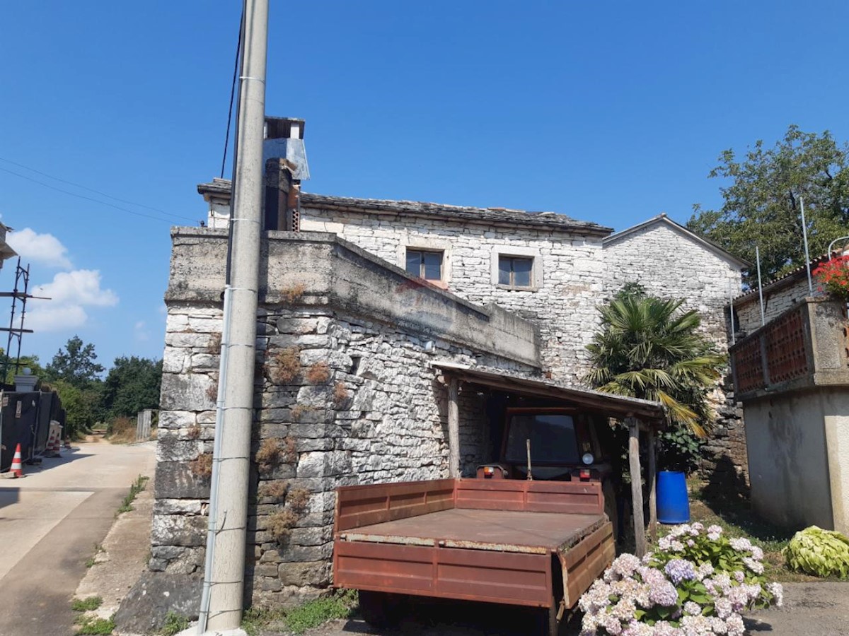 PAZIN