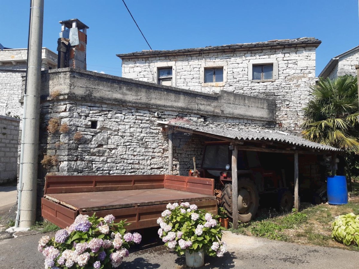 PAZIN
