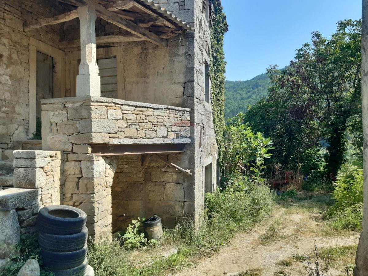 MOTOVUN