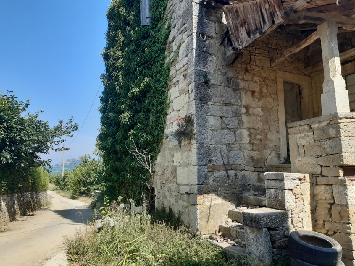 MOTOVUN