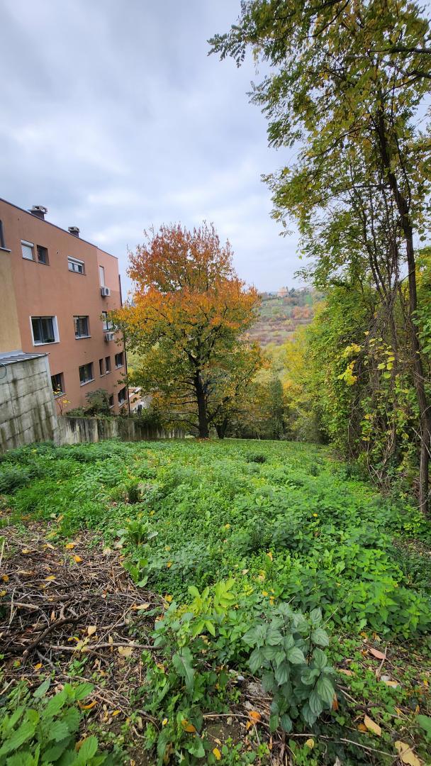 MIKULIĆI