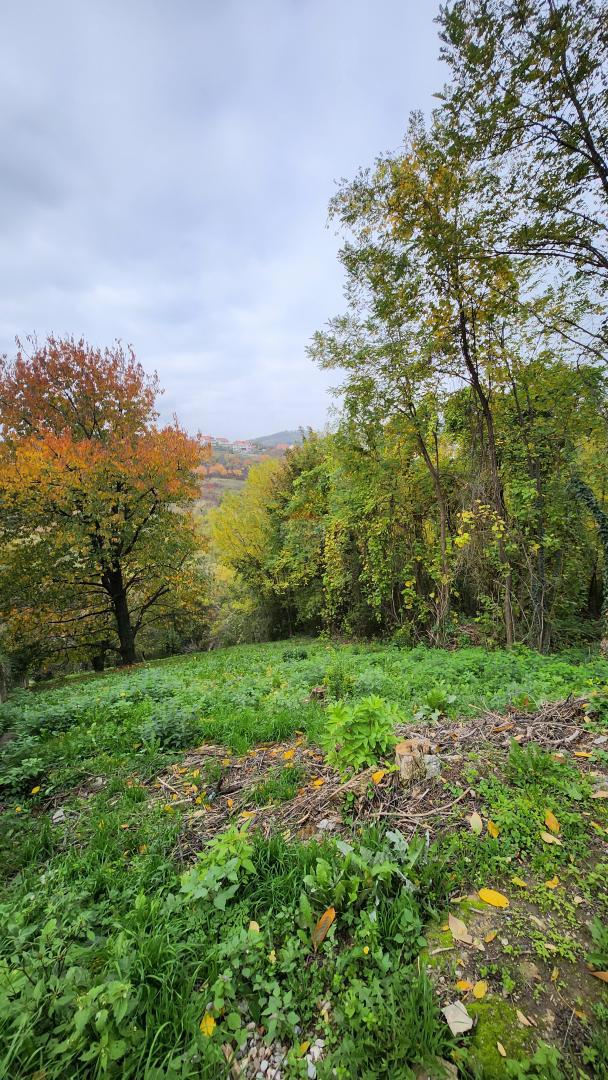 MIKULIĆI