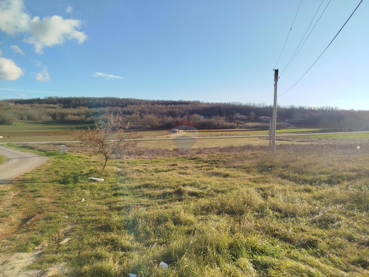 VIŽINADA